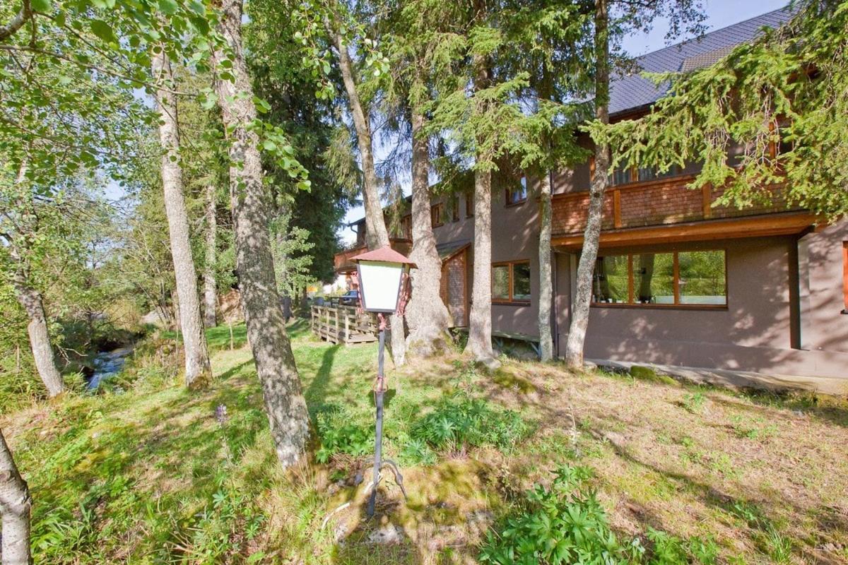 Schwarzwald Lodge Inselklause Шёнвальд Экстерьер фото